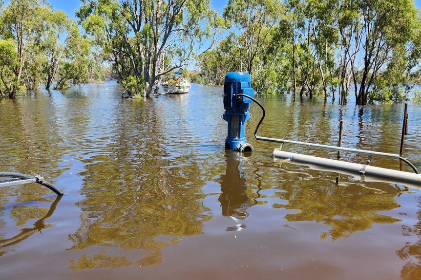 Floodwaters and a pump along the River Murray.