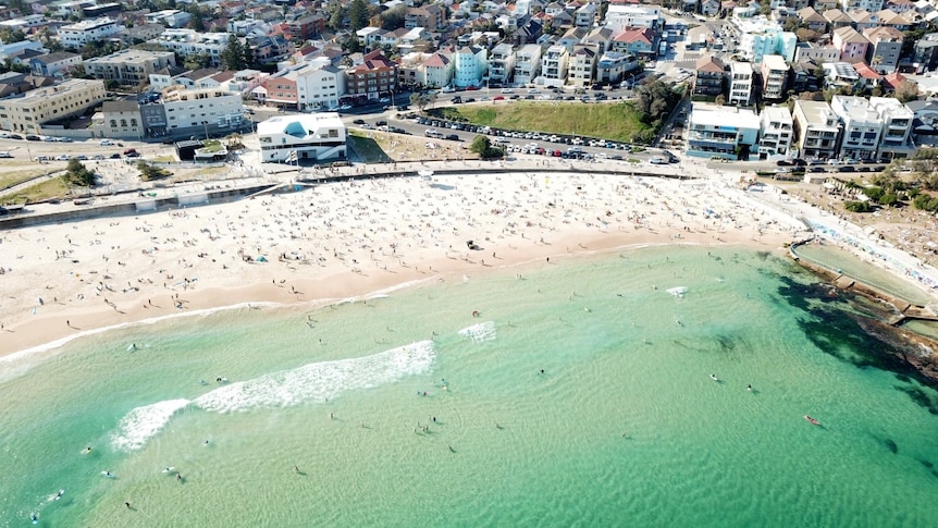 An aerial view of north Bondi Beach showing the beach, sand and several streets of houses back to the clifftop at Vaucluse.