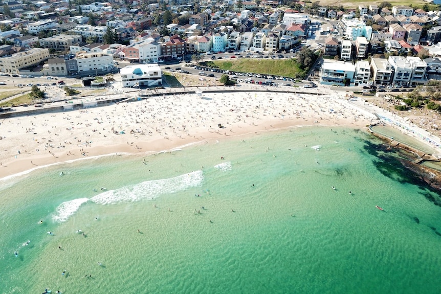 An aerial view of north Bondi Beach showing the beach, sand and several streets of houses back to the clifftop at Vaucluse.