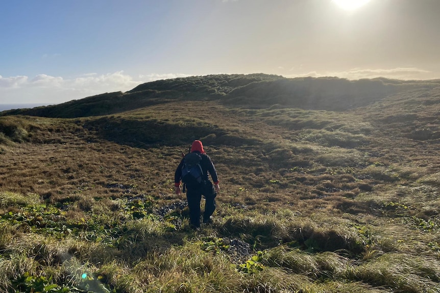 Expeditioner walking up a hill in a remote environment.