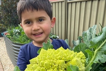 Lachie Sigtia holding a big neon yellow broccoli