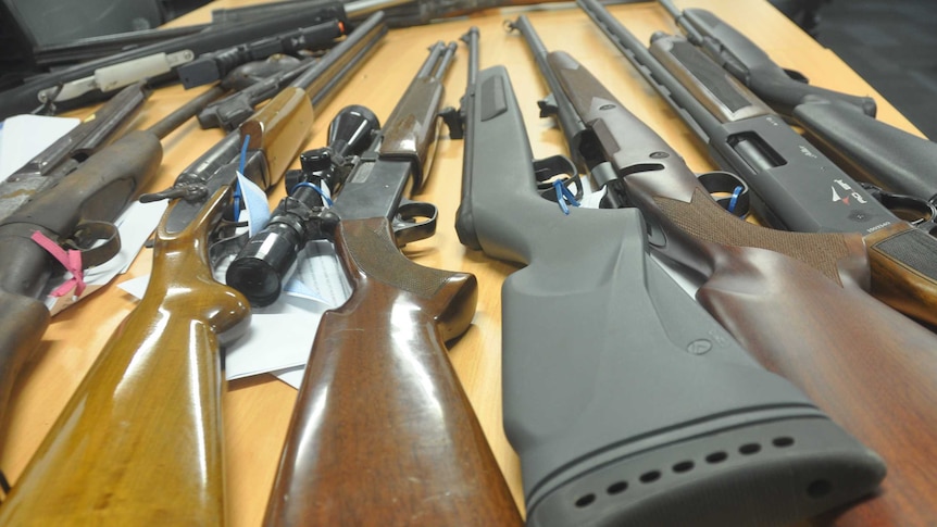 Guns seized in a recent blitz by the NT Police.