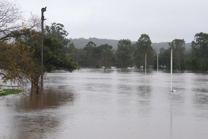 Singleton flooding