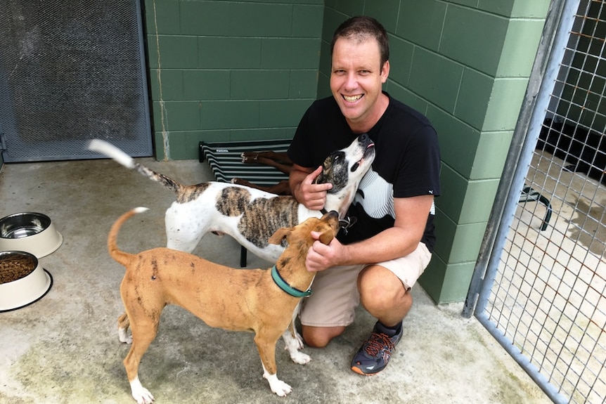 A remote area vet kneels down to pat two, appreciative dogs