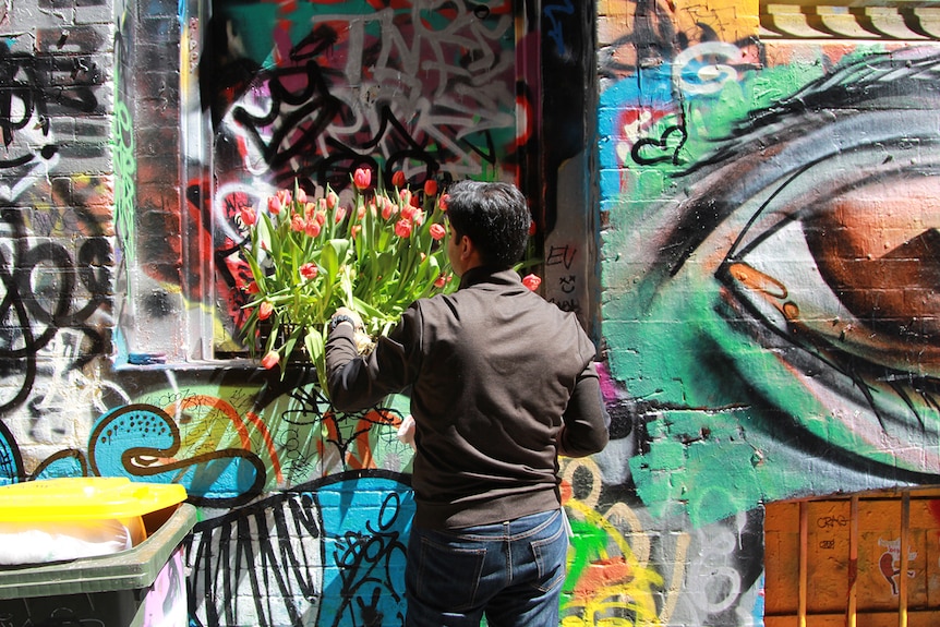 A man collects his tulips on a window ledge in Melbourne's heavily graffitied Hosier Lane.