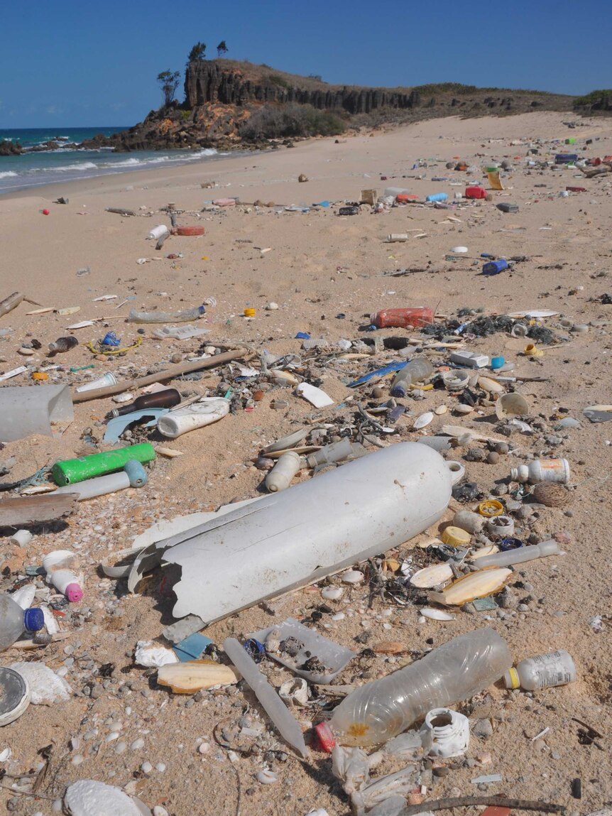 Trash strewn across a beach