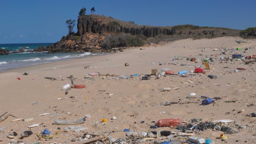 Trash strewn across a beach