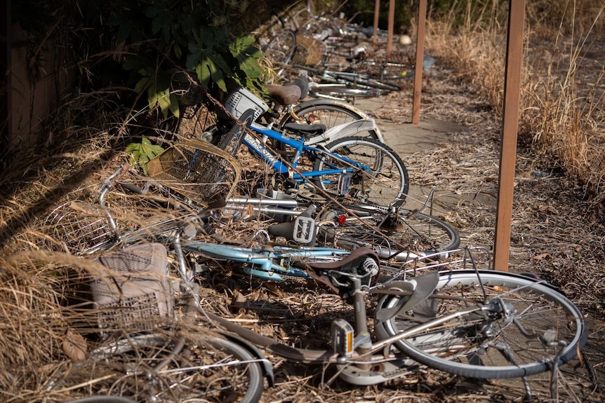 A row of bikes on their sides, surrounded by weeds and overgrowth