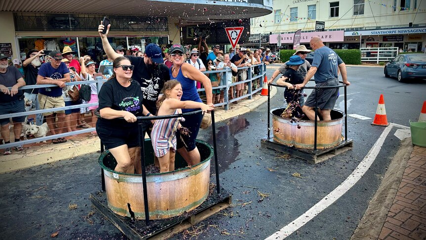 Groups of people laugh as they stand in round barrels on a street, crushing grapes.