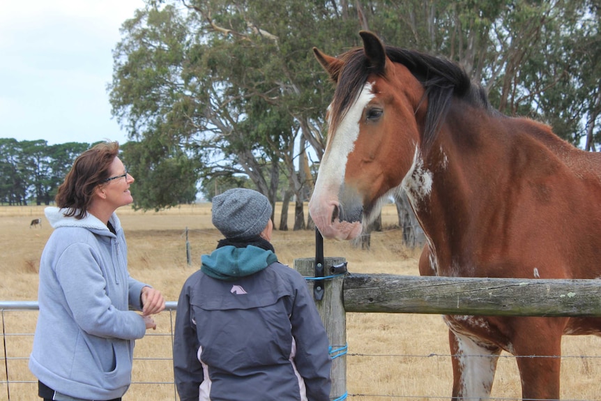 Lynn and Mel talking to one of their Clydies at the gate.