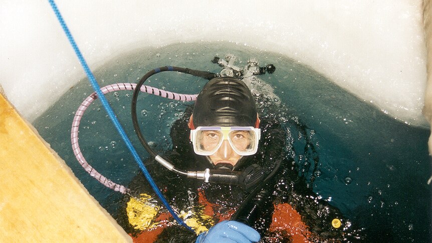 Dr Webster scuba diving inside an ice hole in Antarctica.