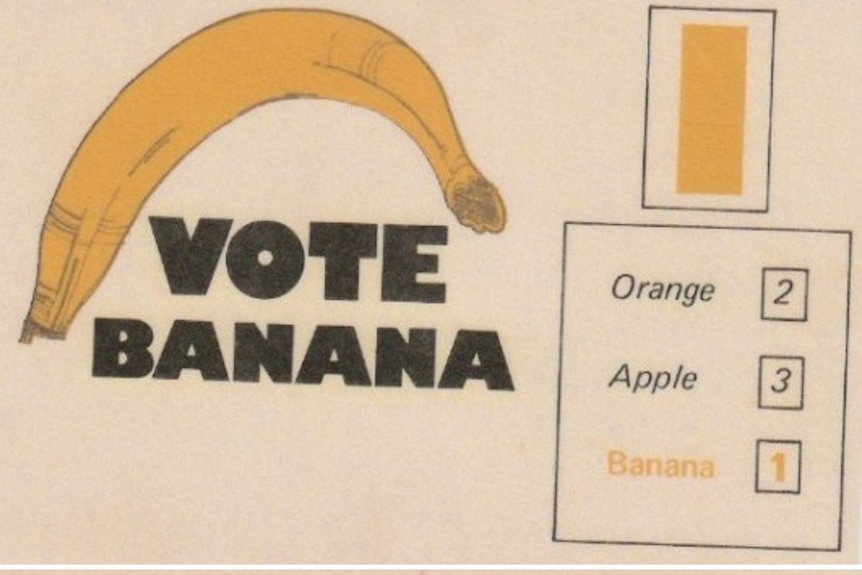 A split image showing two crude how-to-vote cards, one for a banana and another for a cow.