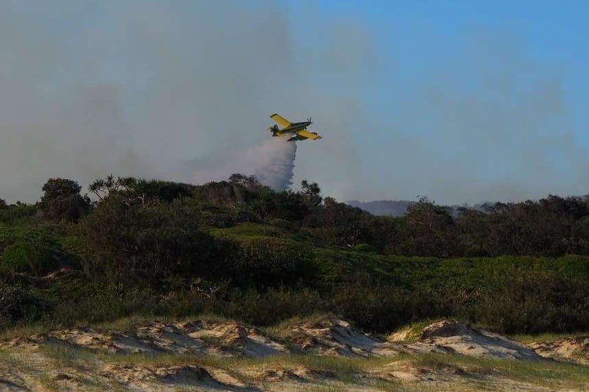 A yellow plane flies low dropping a tankload of water over bushland, as seen from the beach on an island.