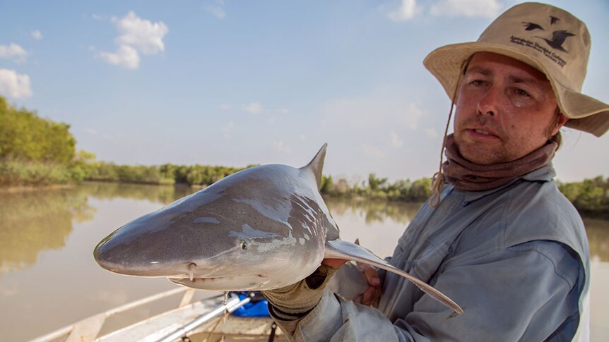Peter Kyne with a Northern River Shark