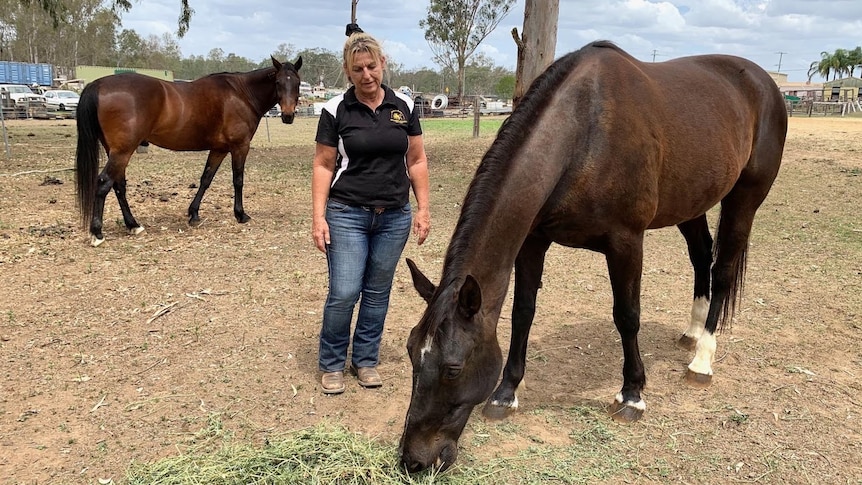 Melissa Bell watches a standardbred horse eating straw in an paddock