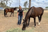 Melissa Bell watches a standardbred horse eating straw in an paddock
