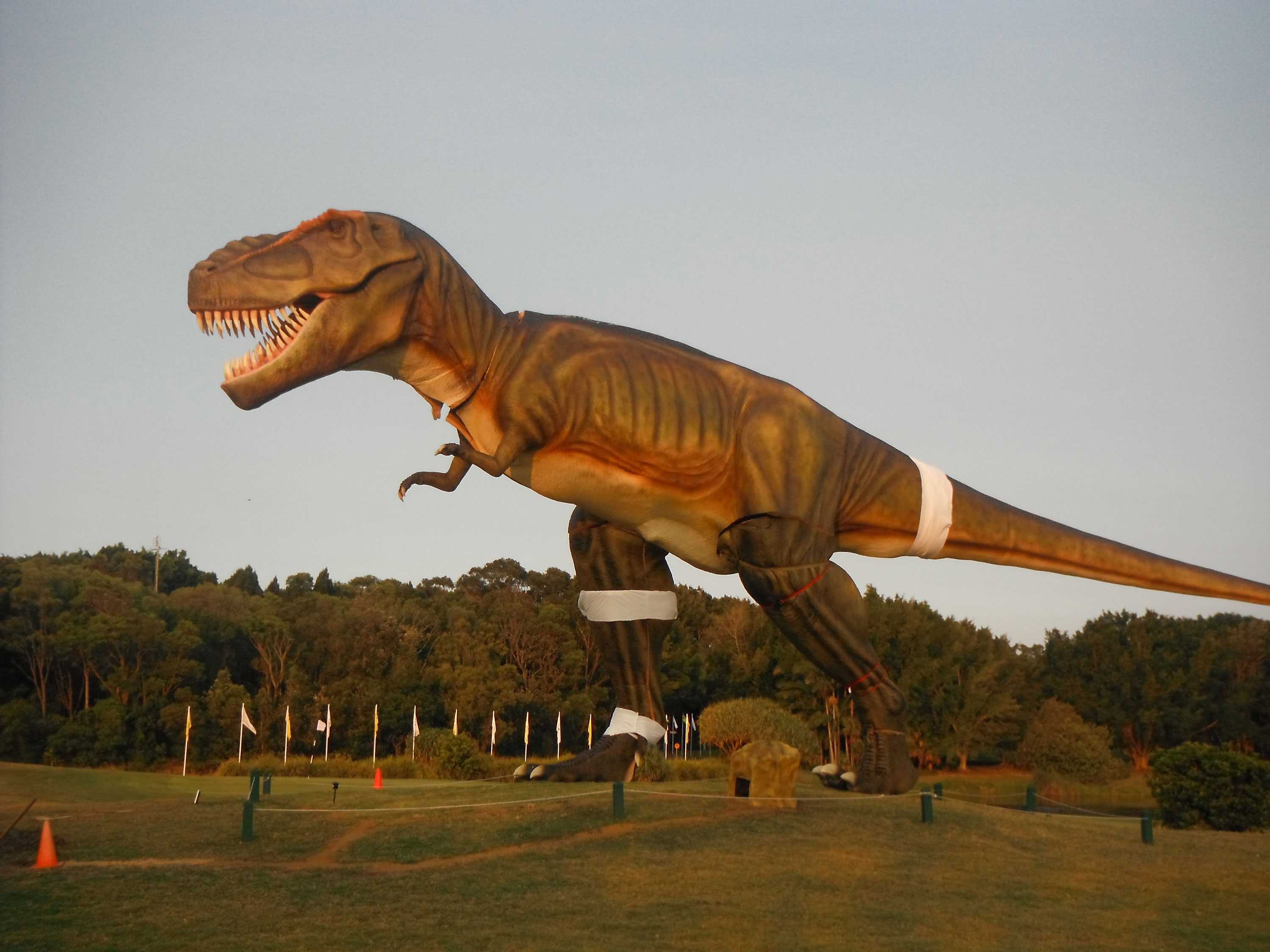 Paleontogists have discovered which creature created the largest recorded dinosa