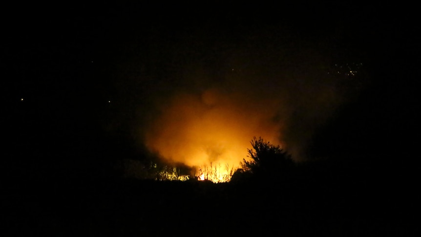 Flames are seen in the distance between trees at the site of a plane crash.
