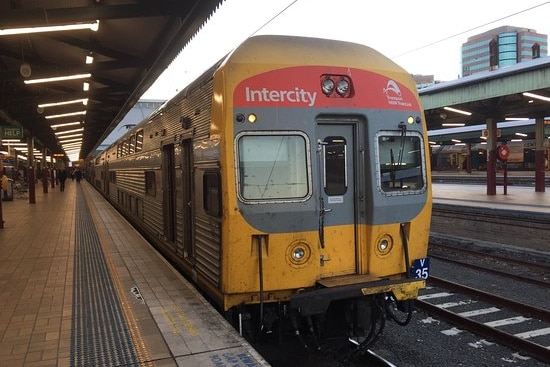 NSW intercity train