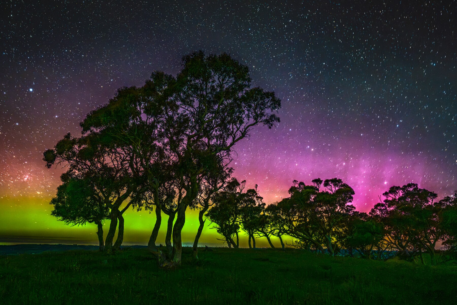 They're called the southern lights. But they dazzled Australians further north