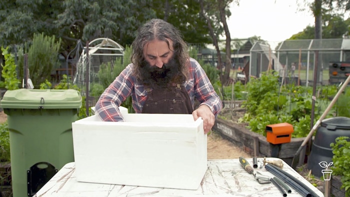 Man with polystyrene box on table outdoors with tools on the table