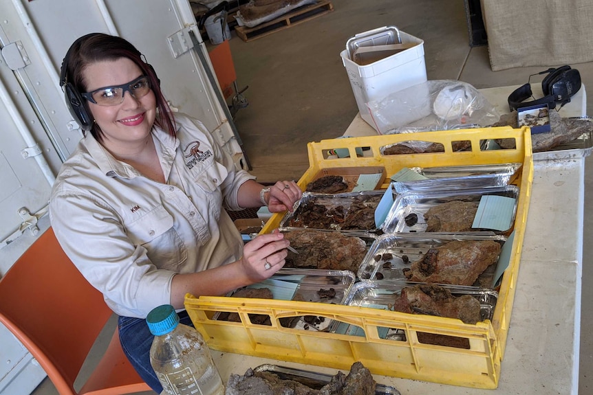 Winton Age of Dinosaurs museum services supervisor Kim Stoter prepares fossils for display