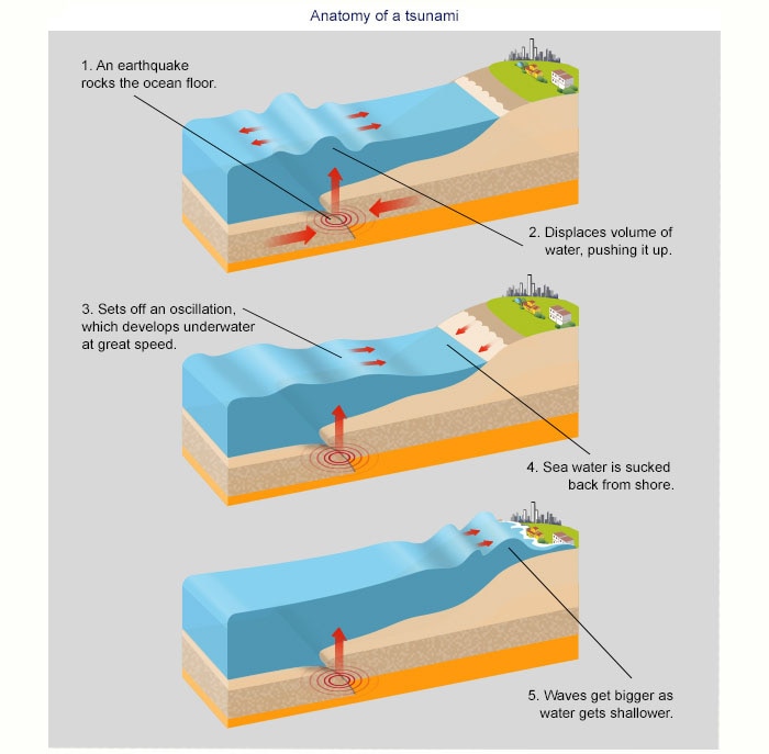 Describe How Tsunamis Occur