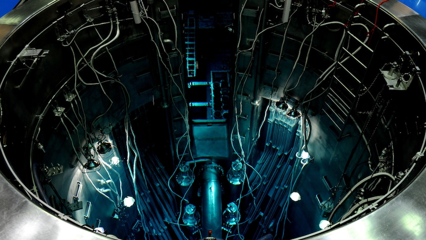 Wires and components inside the Opal nuclear research reactor.