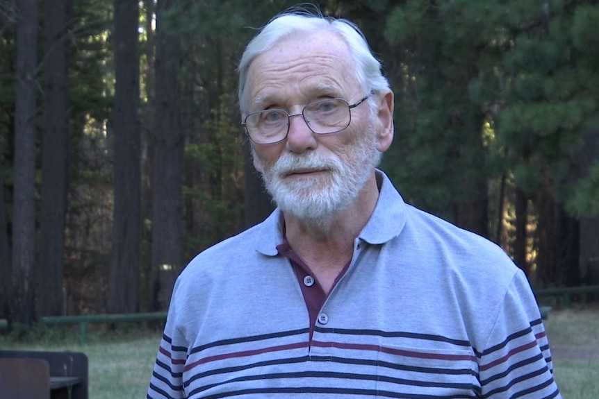 Man with glasses standing pine forest.