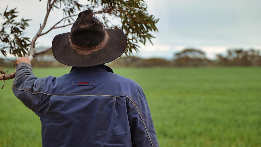 Farmer in a hat looks over paddock 