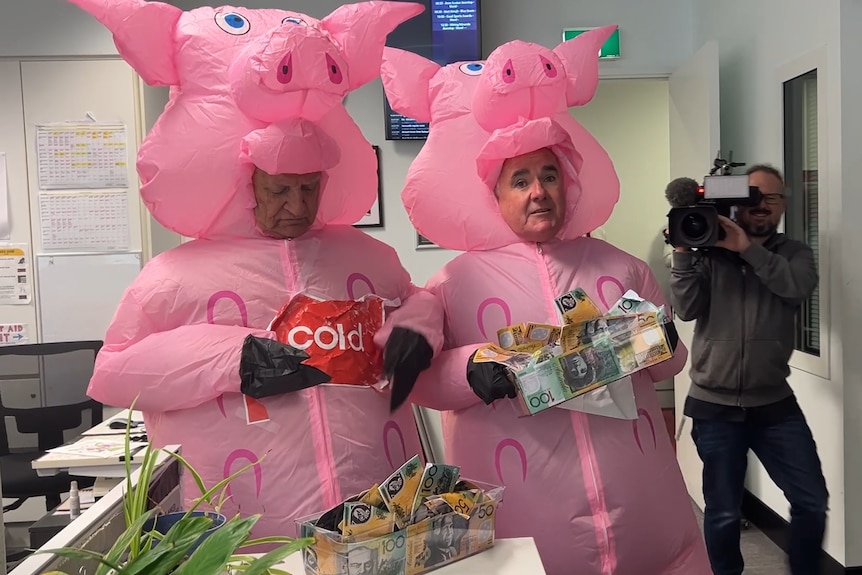 Two men in inflatable pig suits indoors, holding troughs of fake money