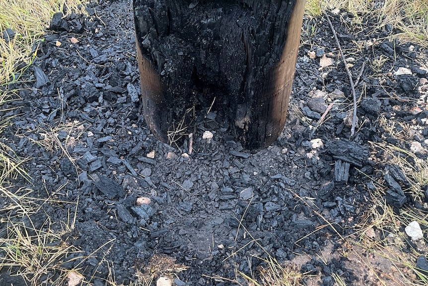 charred power pole surrounded by ash