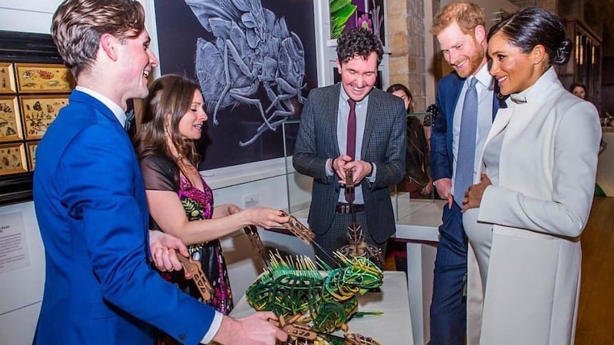 Duck and Duchess of Sussex view wooden puppets.
