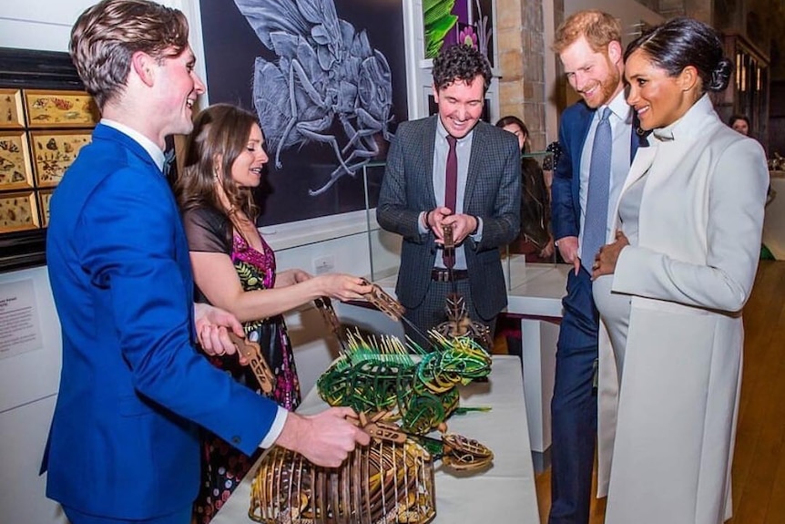 Duck and Duchess of Sussex view wooden puppets.