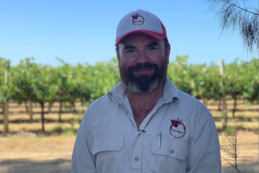 Langhorne Creek agronomist Warren Burgess