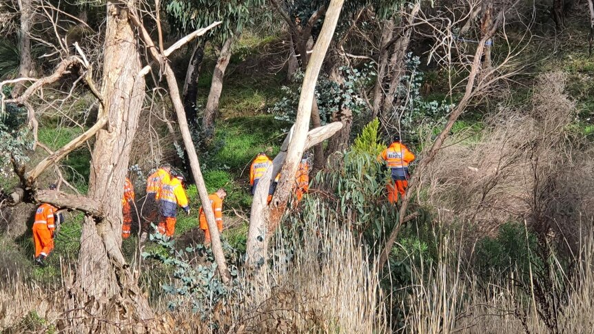Group of emergency personnel in orange uniform searching scrublands