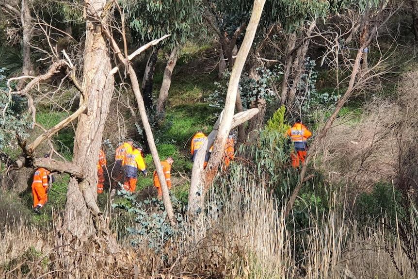 Group of emergency personnel in orange uniform searching scrublands