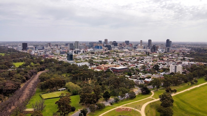 A shot of Adelaide's CBD skyline, with a park in the foreground.