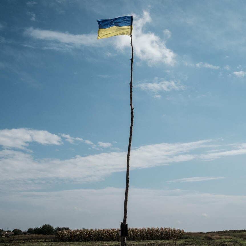 Ukrainian flag shown at the entrance of a village in the Kharkiv region