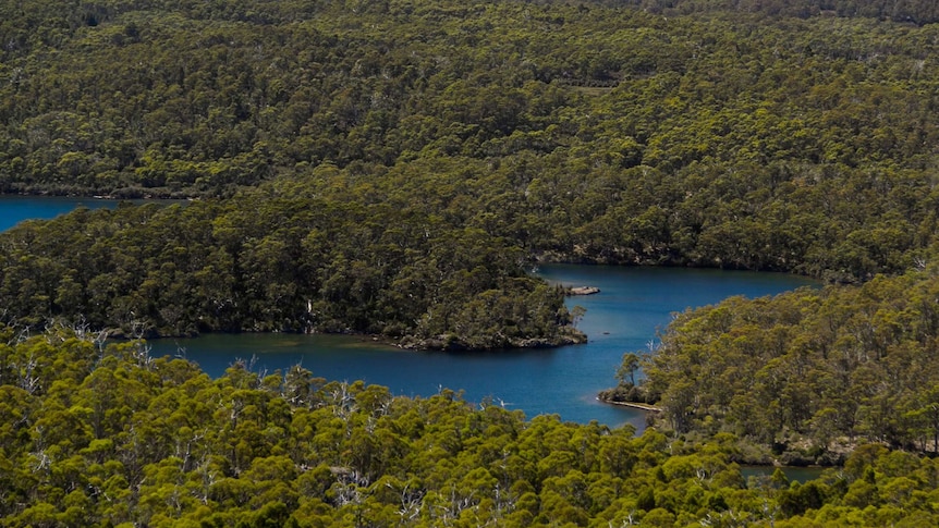 Hall's Island, in Lake Malbena, in Tasmania's Central Highlands area.