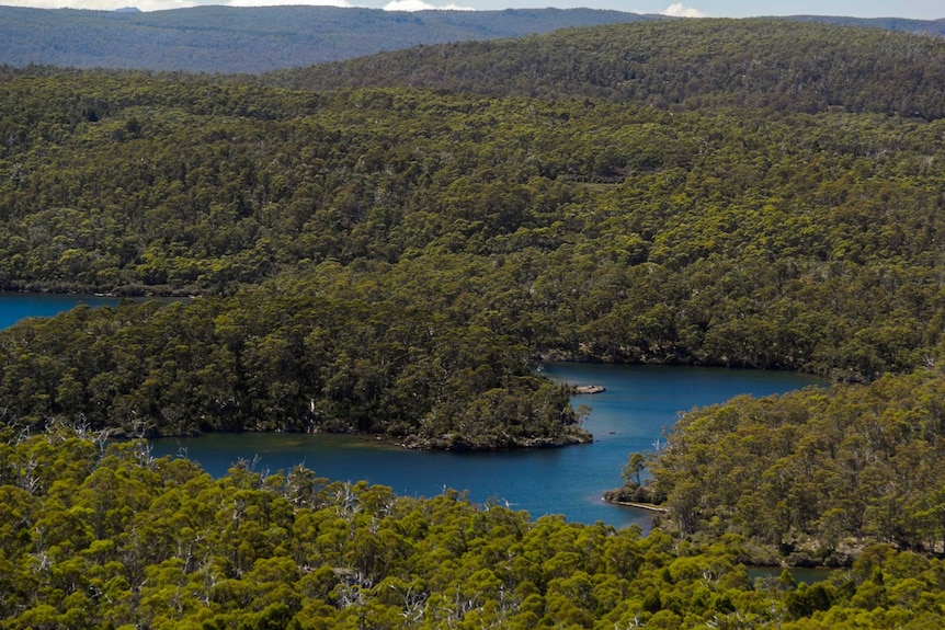 Halls Island, in Lake Malbena, in Tasmania's Central Highlands area.