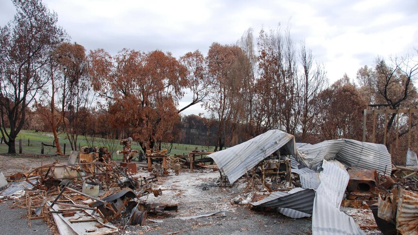 Sheets of metal lie on the ground amid debris after a bushfire with charred trees in the background