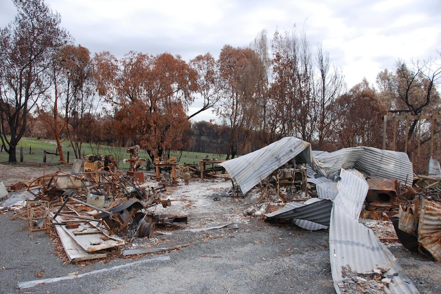 Sheets of metal lie on the ground amid debris after a bushfire with charred trees in the background