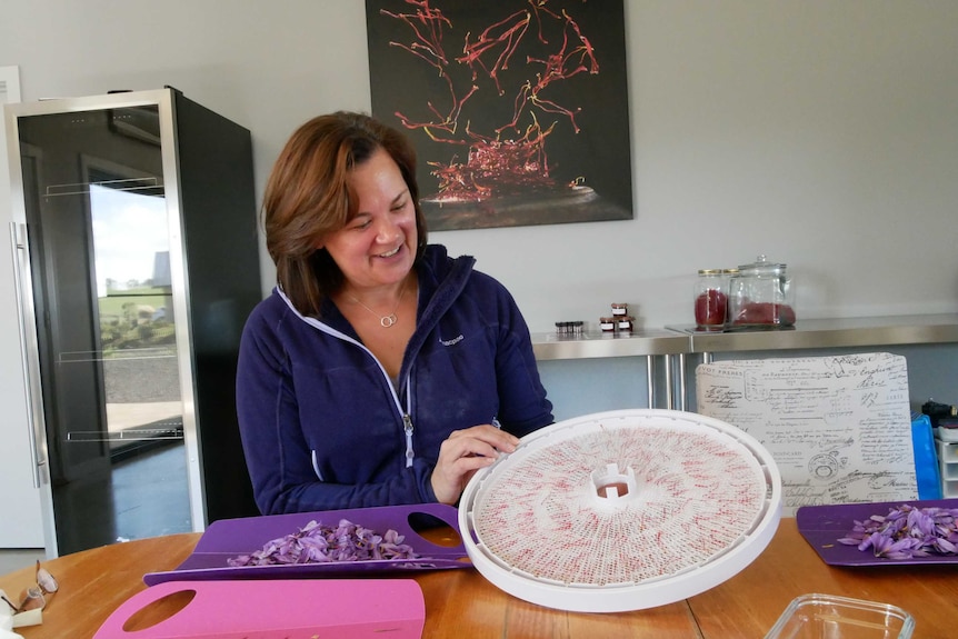 Woman holding dehydrator with saffron in it