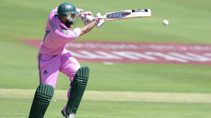 Hashim Amla pulls a delivery for South Africa during the third ODI against Pakistan.