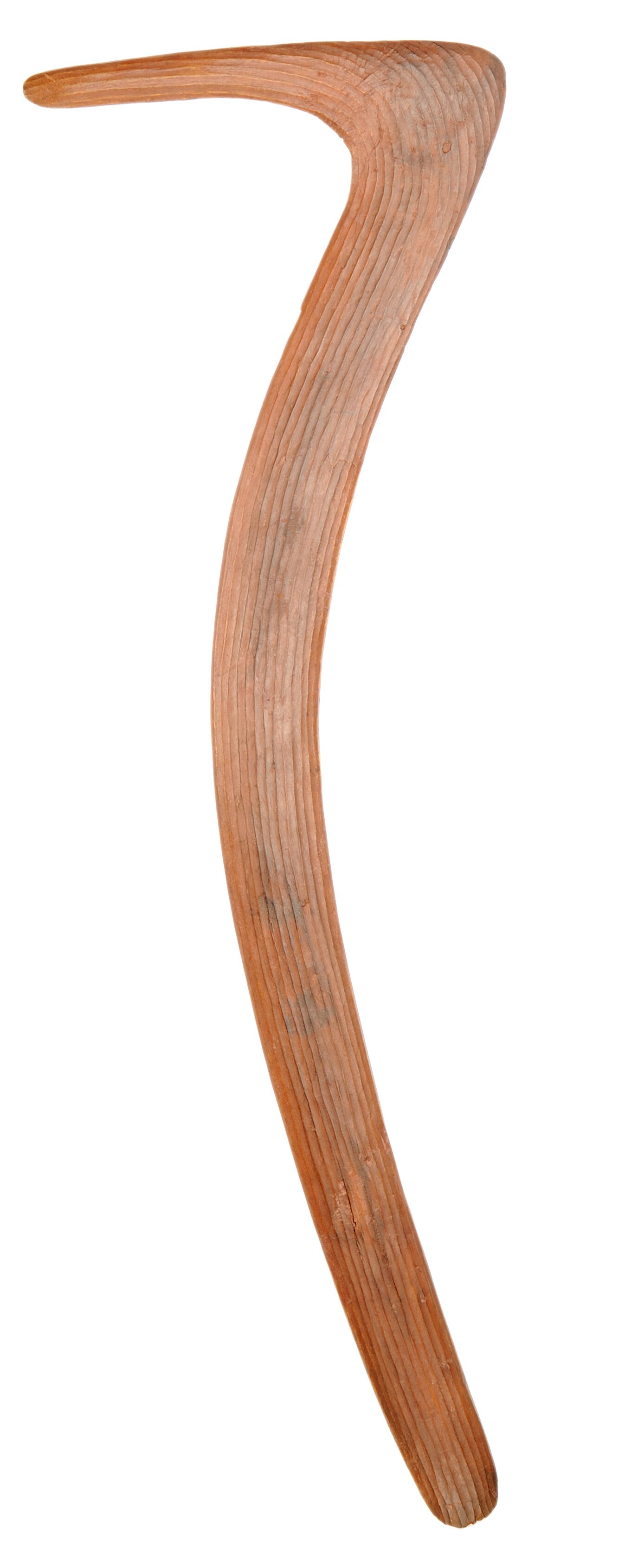 A photo of the famous hooked number seven boomerang or Wartilykirri being returned to the Warumungu community. 