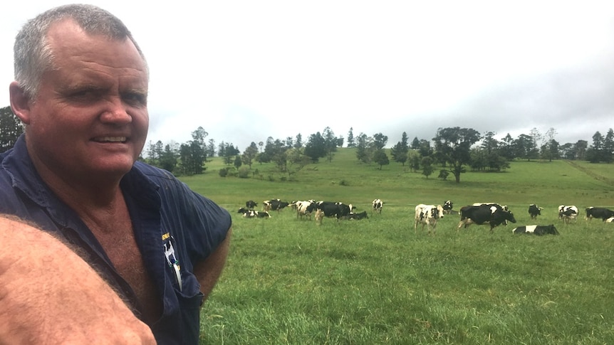 For fourth generation dairyman Colin Daley, making a few changes in the paddock has maximised his herd's milk production.