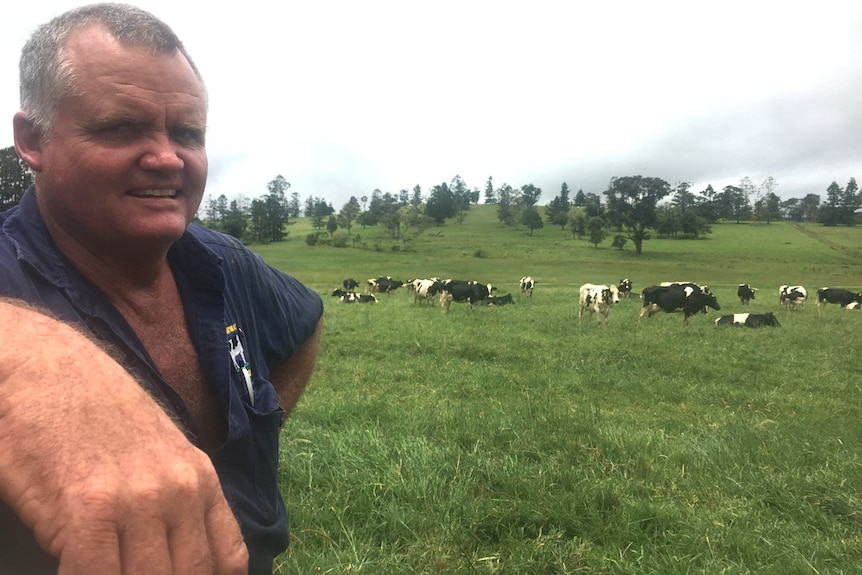 For fourth generation dairyman Colin Daley, making a few changes in the paddock has maximised his herd's milk production.