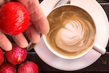 Red quandongs next to a cup of coffee.