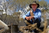 Fourth-generation drover Ronnie Creevey at his camp just outside Ilfracombe in western Queensland